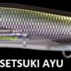 MEGABASS VISION ONETEN LBO