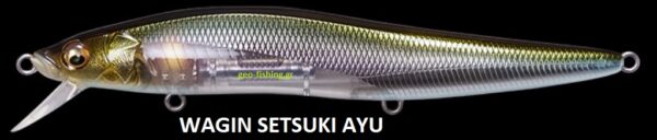 MEGABASS VISION ONETEN LBO
