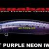 MEGABASS KAGELOU 100F MEGABASS KAGELOU 100F