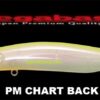 MEGABASS KAGELOU 100F MEGABASS KAGELOU 100F