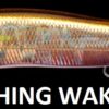 MEGABASS VISION ONETEN