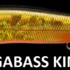 MEGABASS VISION ONETEN