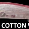 MEGABASS VISION ONETEN