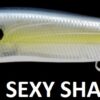 MEGABASS VISION ONETEN