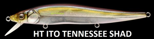 MEGABASS VISION ONETEN