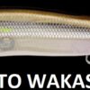 MEGABASS VISION ONETEN