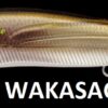 MEGABASS VISION ONETEN