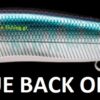 MEGABASS VISION ONETEN
