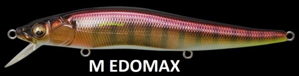 MEGABASS VISION ONETEN