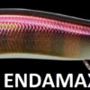 MEGABASS VISION ONETEN Jr