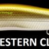 MEGABASS VISION ONETEN