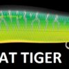MEGABASS VISION ONETEN