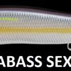 MEGABASS VISION ONETEN