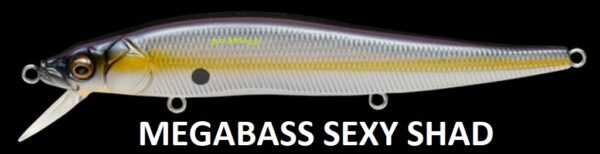 MEGABASS VISION ONETEN