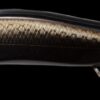 MEGABASS VISION ONETEN Jr