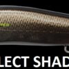 MEGABASS VISION ONETEN