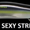 MEGABASS VISION ONETEN Jr