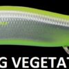 MEGABASS VISION ONETEN Jr