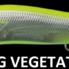 MEGABASS VISION ONETEN
