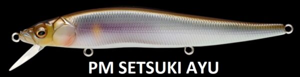 MEGABASS VISION ONETEN