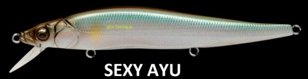 MEGABASS VISION ONETEN