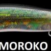 MEGABASS VISION ONETEN