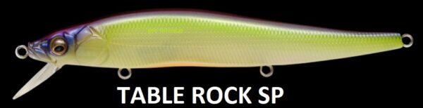 MEGABASS VISION ONETEN