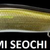 MEGABASS VISION ONETEN