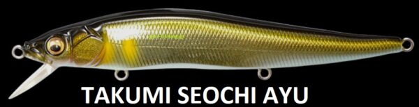 MEGABASS VISION ONETEN