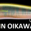 MEGABASS VISION ONETEN