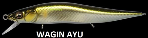 MEGABASS VISION ONETEN Jr