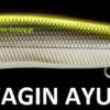 MEGABASS VISION ONETEN