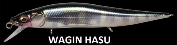 MEGABASS VISION ONETEN Jr