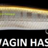 MEGABASS VISION ONETEN
