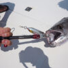 STUDIO OCEAN MARK OCEAN HOOKS REMOOVER STUDIO OCEAN MARK OCEAN HOOKS REMOOVER