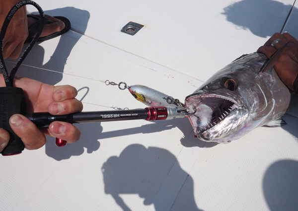 STUDIO OCEAN MARK OCEAN HOOKS REMOOVER STUDIO OCEAN MARK OCEAN HOOKS REMOOVER