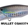 DUO REALIS POPPER 64 DUO REALIS POPPER 64
