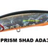 DUO REALIS JERK BAIT 100SP