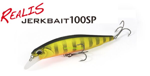 DUO REALIS JERK BAIT 100SP