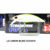 DUO TETRA WORKS TOTO 42S