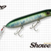 EVERGREEN MODE SHOWERBLOWS EVERGREEN MODE SHOWERBLOWS