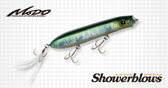 EVERGREEN MODE SHOWERBLOWS