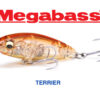 MEGABASS TERRIER