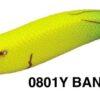 EVERGREEN DRAGGIN BANCHO 3.5