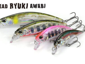 DUO SPEARHEAD RYUKI 50S AWABI
