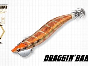 EVERGREEN DRAGGIN BANCHO 3.5