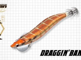 EVERGREEN DRAGGIN BANCHO 3.5