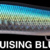 MEGABASS VISION ONETEN LBO SW MEGABASS VISION ONETEN LBO SW