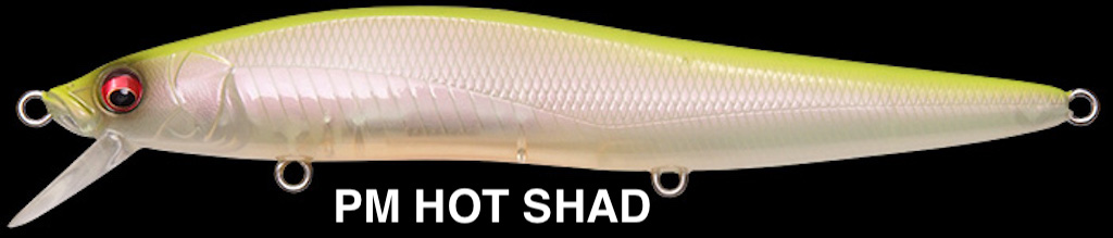 MEGABASS VISION ONETEN LBO SW