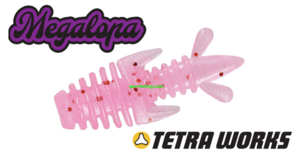 DUO TETRA WORKS MEGALOPA